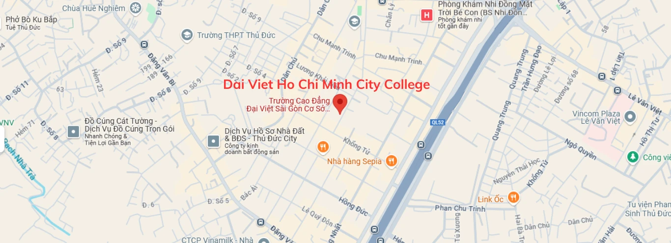 Dai Viet Ho Chi Minh City College